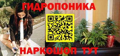 дурь Гусев