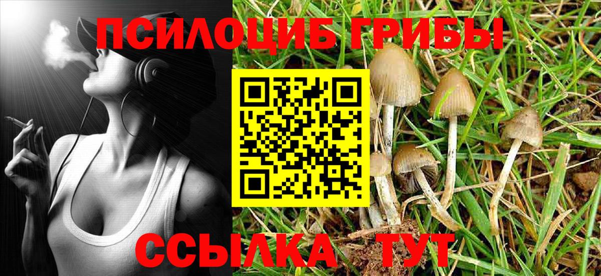Псилоцибиновые грибы ЛСД  Вход с VPN  Галлюциногенные грибы Magic Shrooms  Мурманск 