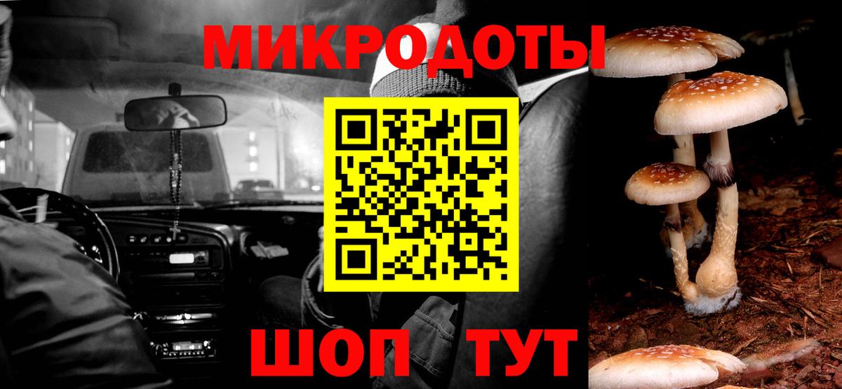 Псилоцибиновые грибы Cubensis Мурманск